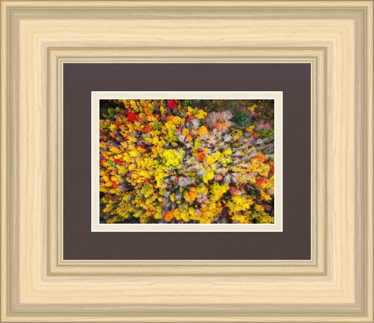 Sacred Grove Autumn From Heaven