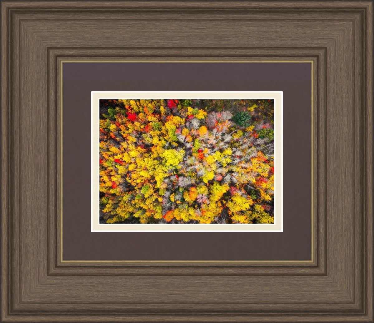 Sacred Grove Autumn From Heaven