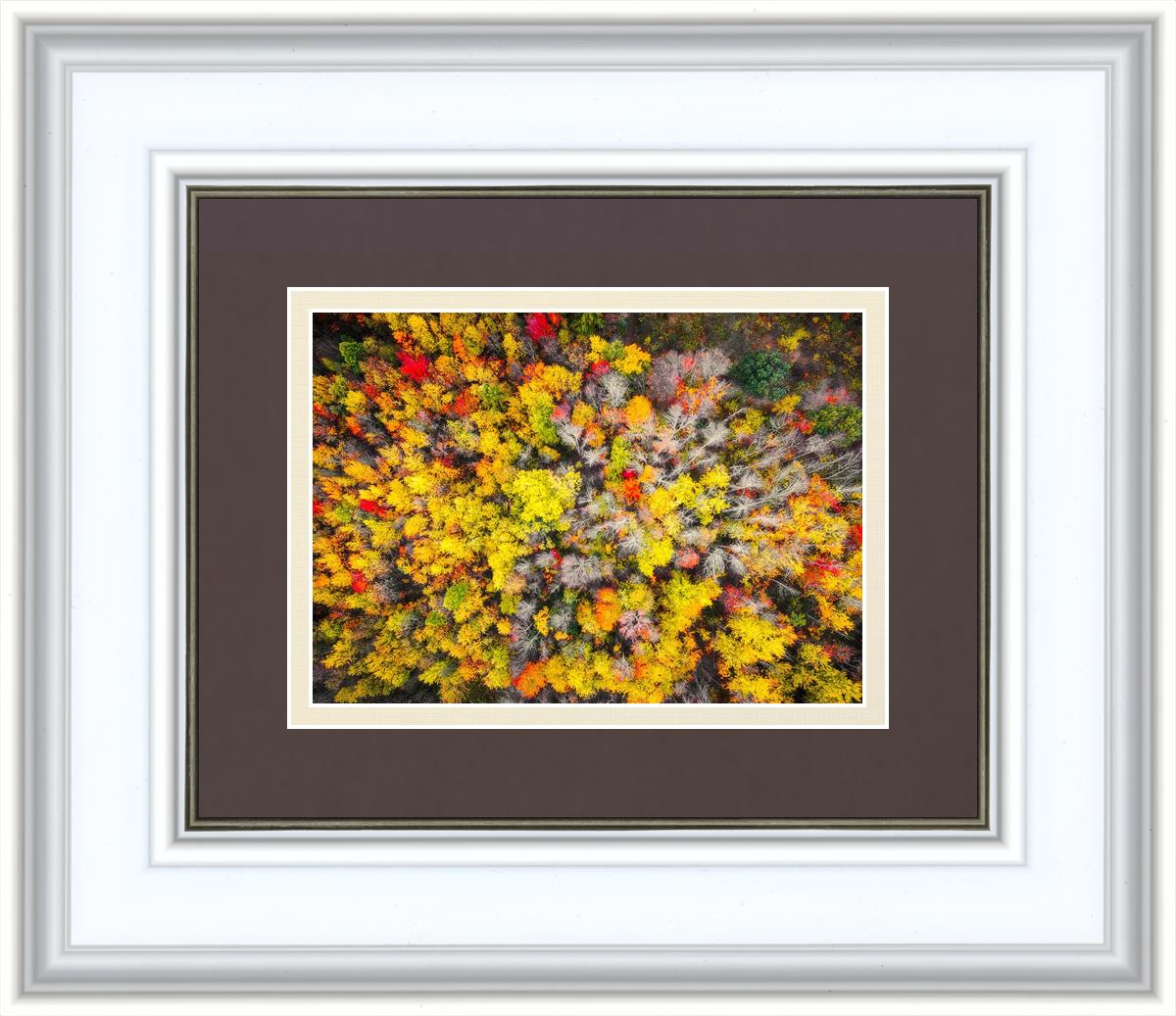 Sacred Grove Autumn From Heaven