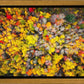 Sacred Grove Autumn From Heaven