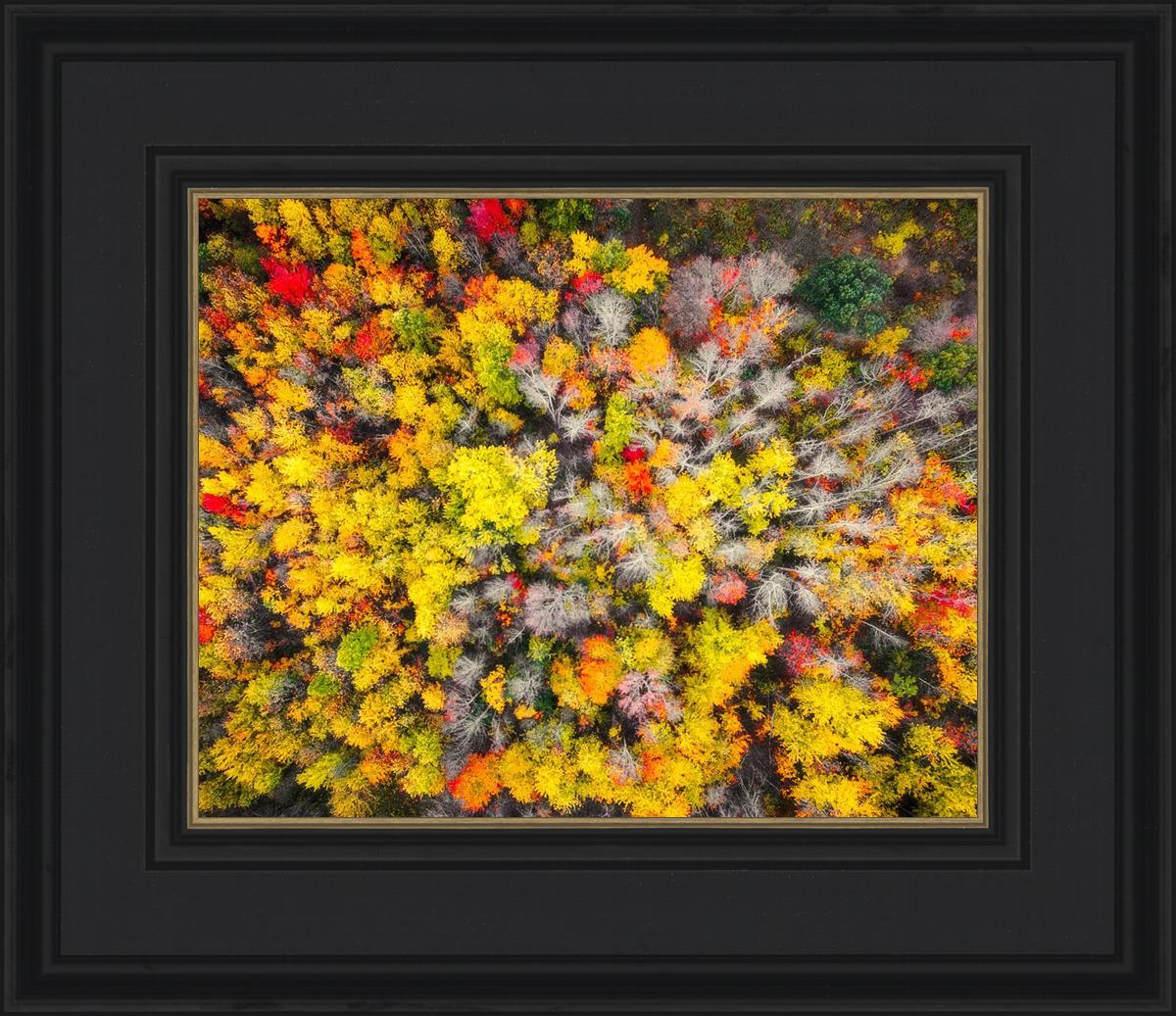 Sacred Grove Autumn From Heaven