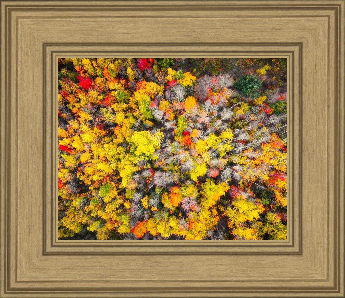 Sacred Grove Autumn From Heaven