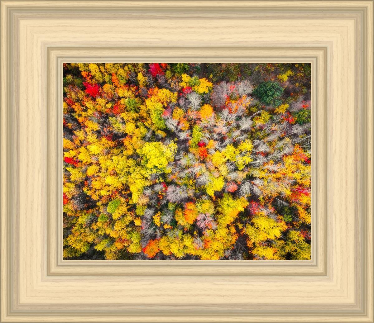 Sacred Grove Autumn From Heaven