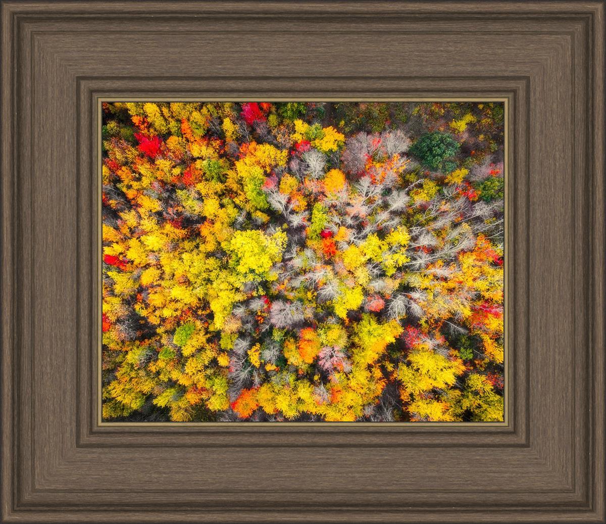 Sacred Grove Autumn From Heaven