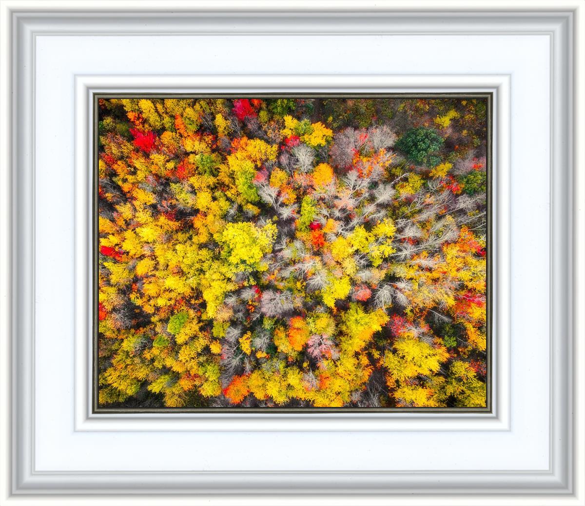 Sacred Grove Autumn From Heaven
