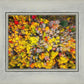Sacred Grove Autumn From Heaven
