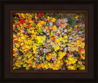 Sacred Grove Autumn From Heaven