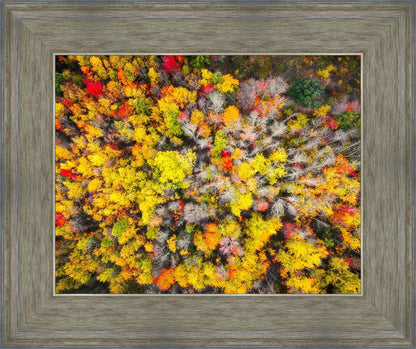 Sacred Grove Autumn From Heaven