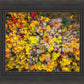 Sacred Grove Autumn From Heaven