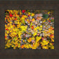 Sacred Grove Autumn From Heaven