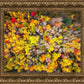 Sacred Grove Autumn From Heaven