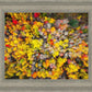 Sacred Grove Autumn From Heaven