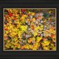 Sacred Grove Autumn From Heaven