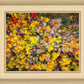 Sacred Grove Autumn From Heaven