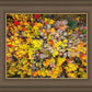Sacred Grove Autumn From Heaven