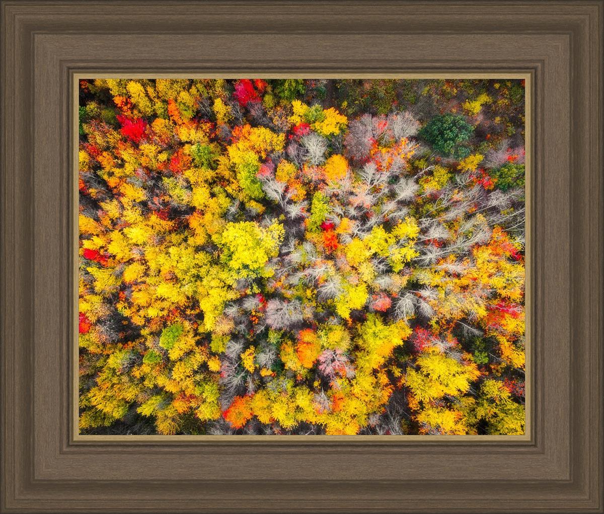 Sacred Grove Autumn From Heaven