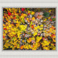 Sacred Grove Autumn From Heaven