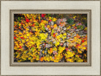 Sacred Grove Autumn From Heaven