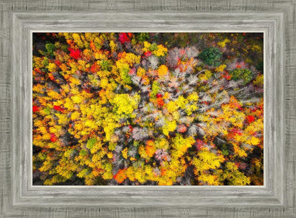 Sacred Grove Autumn From Heaven