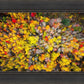 Sacred Grove Autumn From Heaven