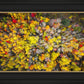 Sacred Grove Autumn From Heaven