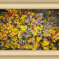 Sacred Grove Autumn From Heaven