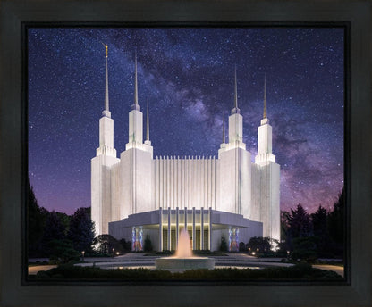 Washington DC Celestial