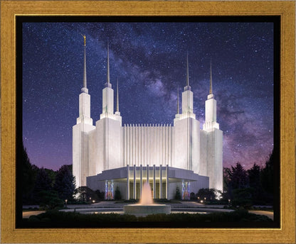 Washington DC Celestial