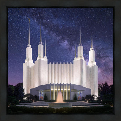 Washington DC Celestial