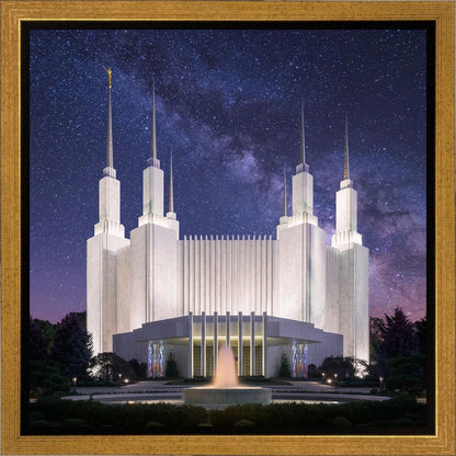 Washington DC Celestial