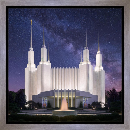 Washington DC Celestial