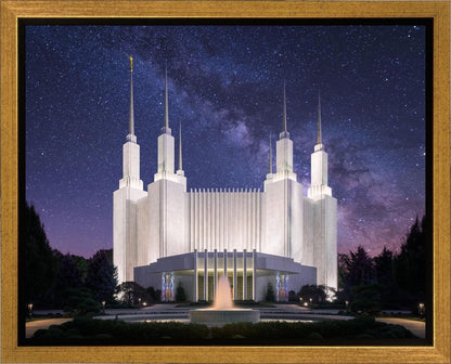 Washington DC Celestial