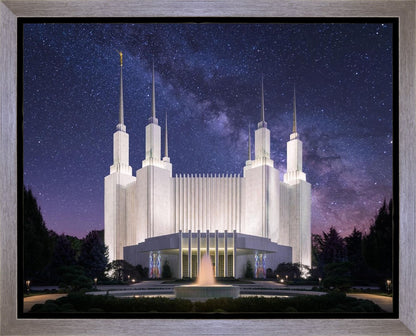 Washington DC Celestial