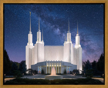 Washington DC Celestial