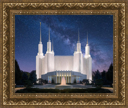 Washington DC Celestial