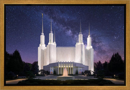 Washington DC Celestial