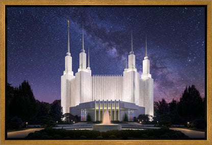 Washington DC Celestial