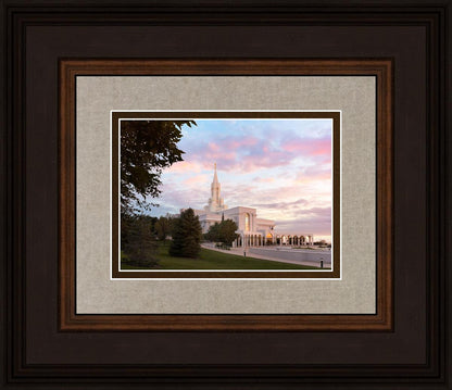 Bountiful Pastel Light