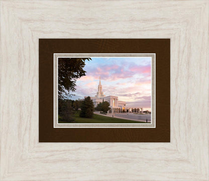 Bountiful Pastel Light