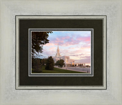 Bountiful Pastel Light