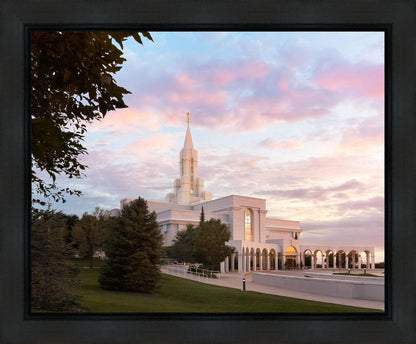 Bountiful Pastel Light