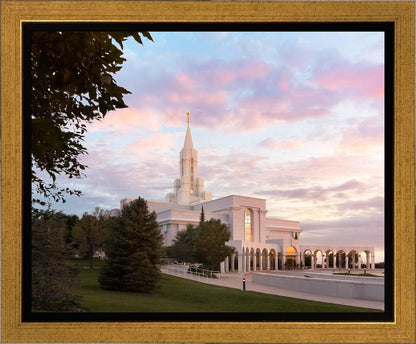 Bountiful Pastel Light