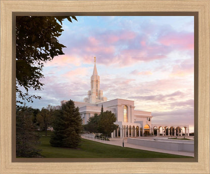 Bountiful Pastel Light