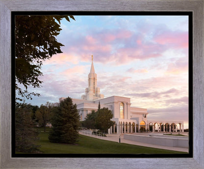 Bountiful Pastel Light