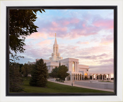 Bountiful Pastel Light