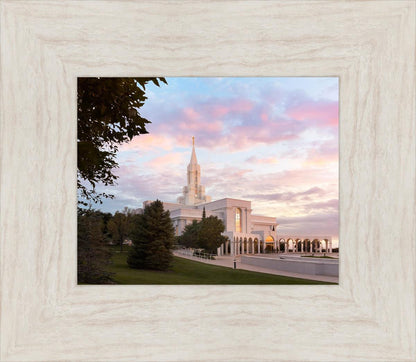 Bountiful Pastel Light