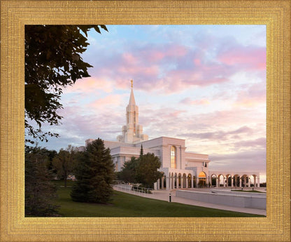 Bountiful Pastel Light