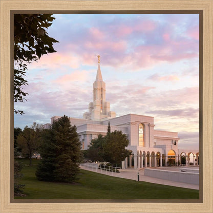 Bountiful Pastel Light