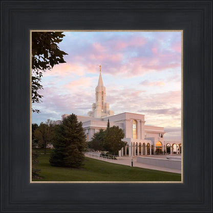 Bountiful Pastel Light