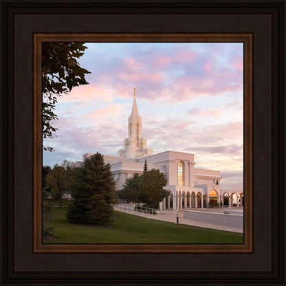 Bountiful Pastel Light